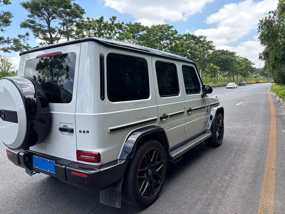 Mercedes-Benz G-Class AMG 2019 AMG G 63 First Edition фото 14