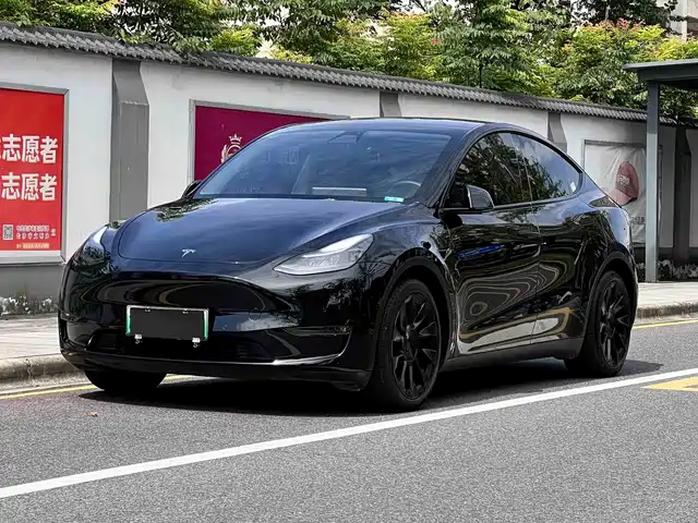 Tesla Model Y Стандартный запас хода, задний привод