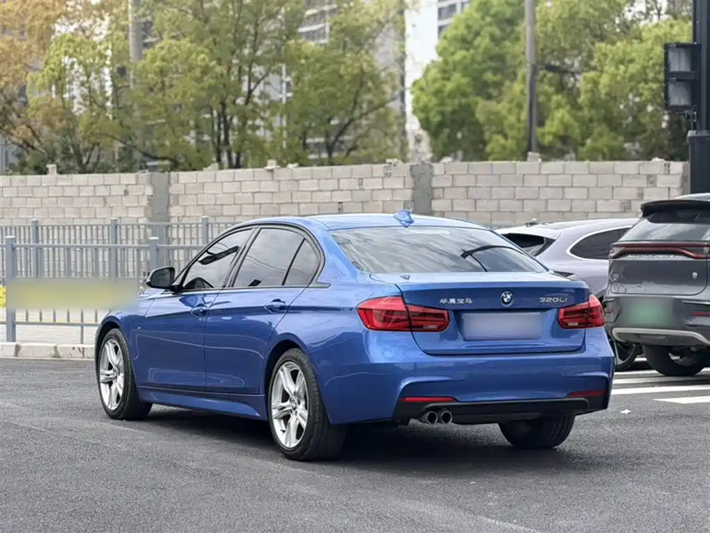 BMW 3 Series 2017 320Li M Sport фото 21
