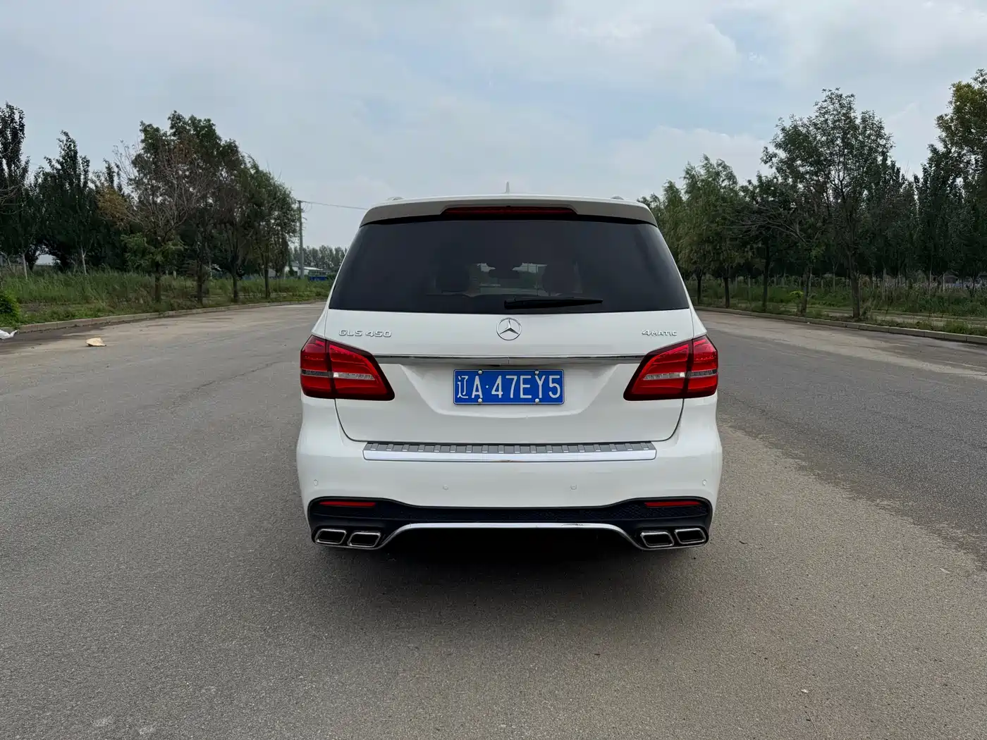 Mercedes-Benz GLS 2017 2017 GLS 400 4MATIC Luxury