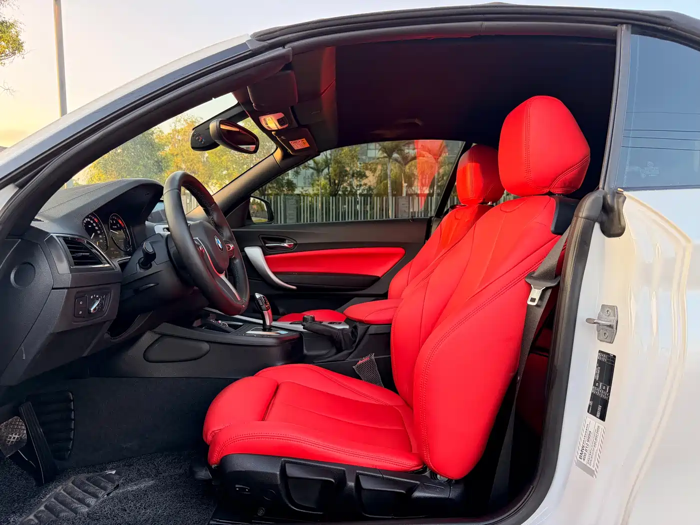 BMW 2 Series (Import) 2018 225i Convertible Coupe M Sport фото 20
