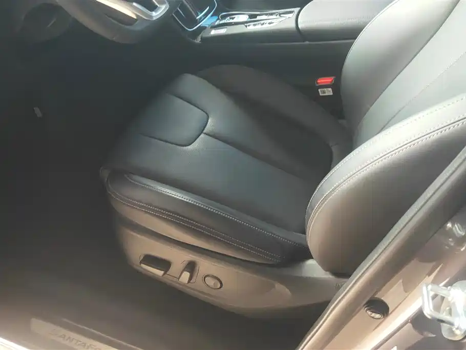 Hyundai Santa Fe 2020 380 TGDi Auto 2WD GLS Luxury фото 9