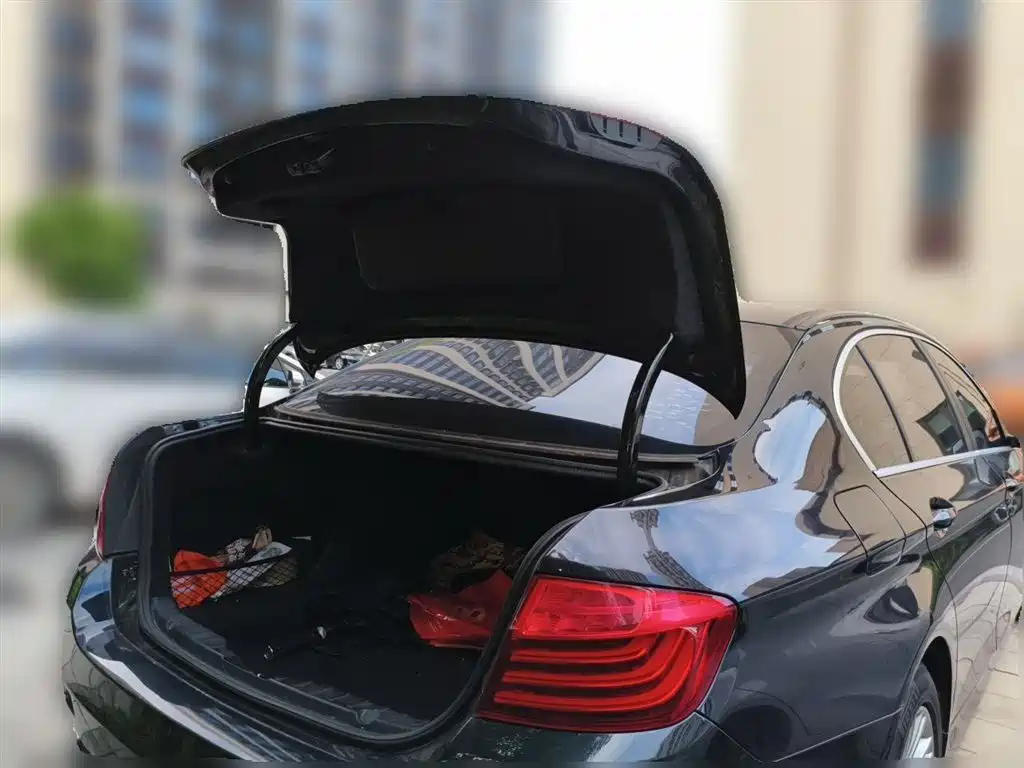 BMW 5 Series 2014 525Li Leading фото 10