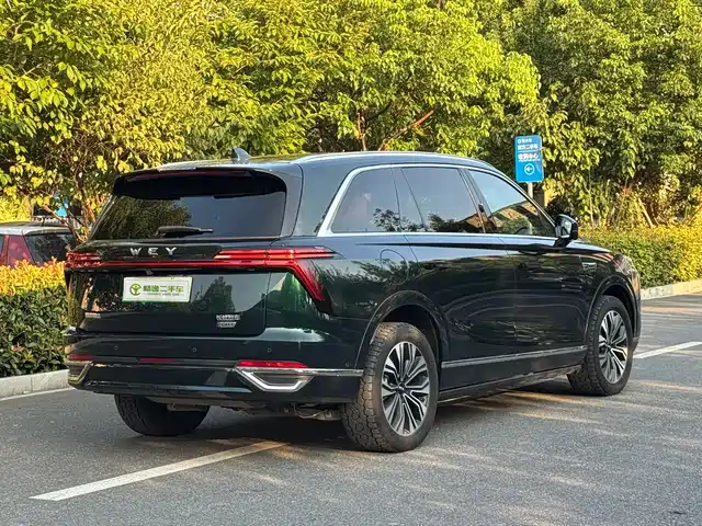 WEY Lanshan 2023 AWD Ultra Long Range Edition — фото 3