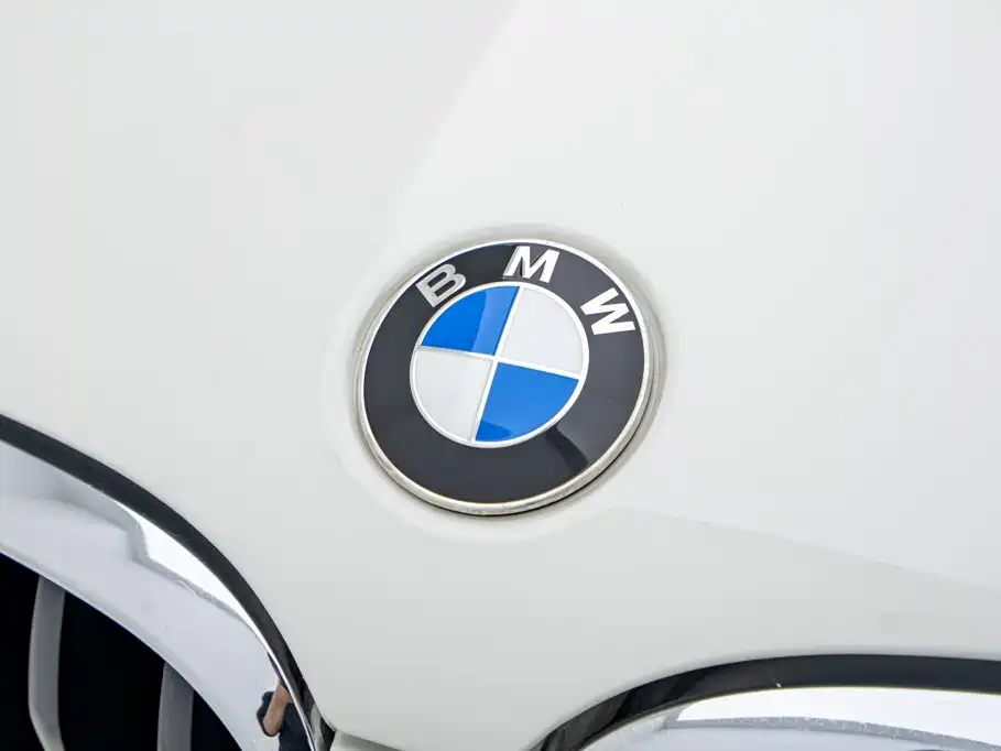 Фото 26 - BMW X4