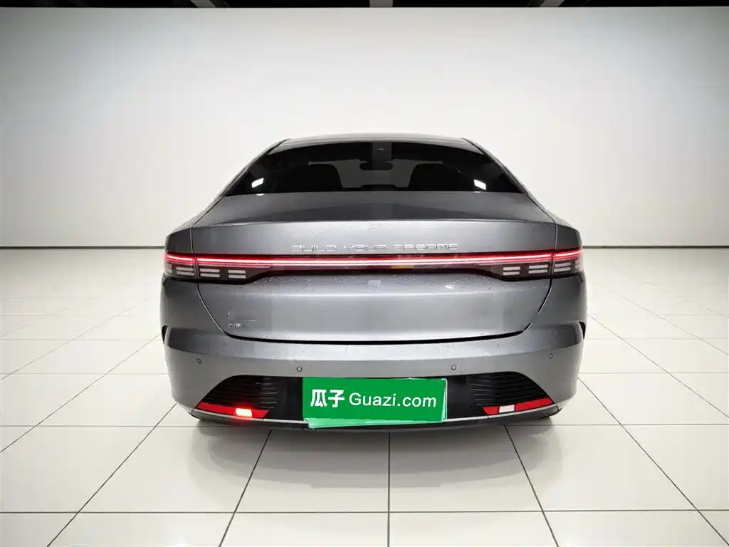 BYD Destroyer 05 2024 Glory Edition DM-i 55KM Luxury фото 4