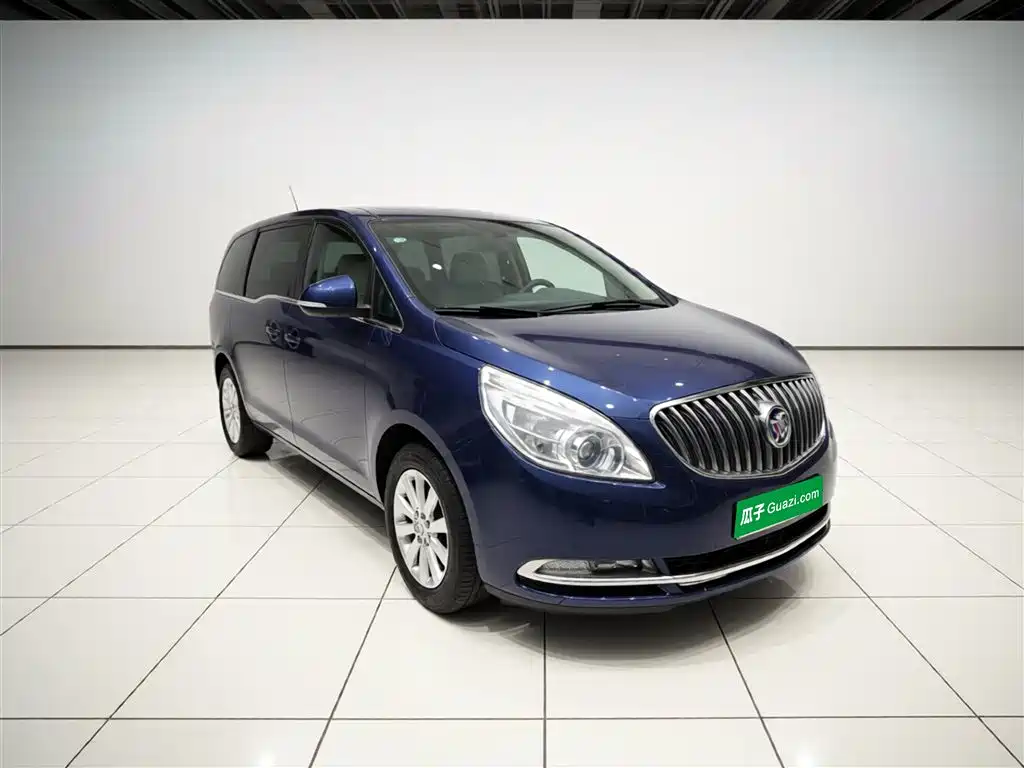 Buick GL8 2015 2.4L Luxury Business Exclusive Edition фото 4