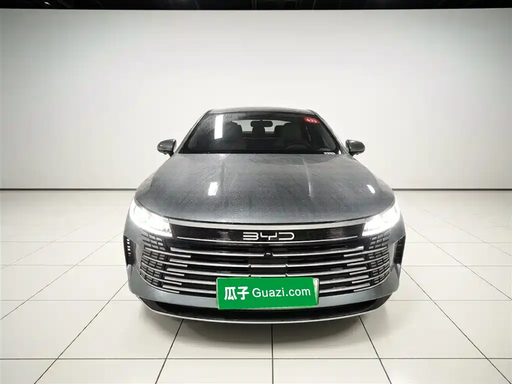 BYD Destroyer 05 2024 Glory Edition DM-i 55KM Luxury фото 3