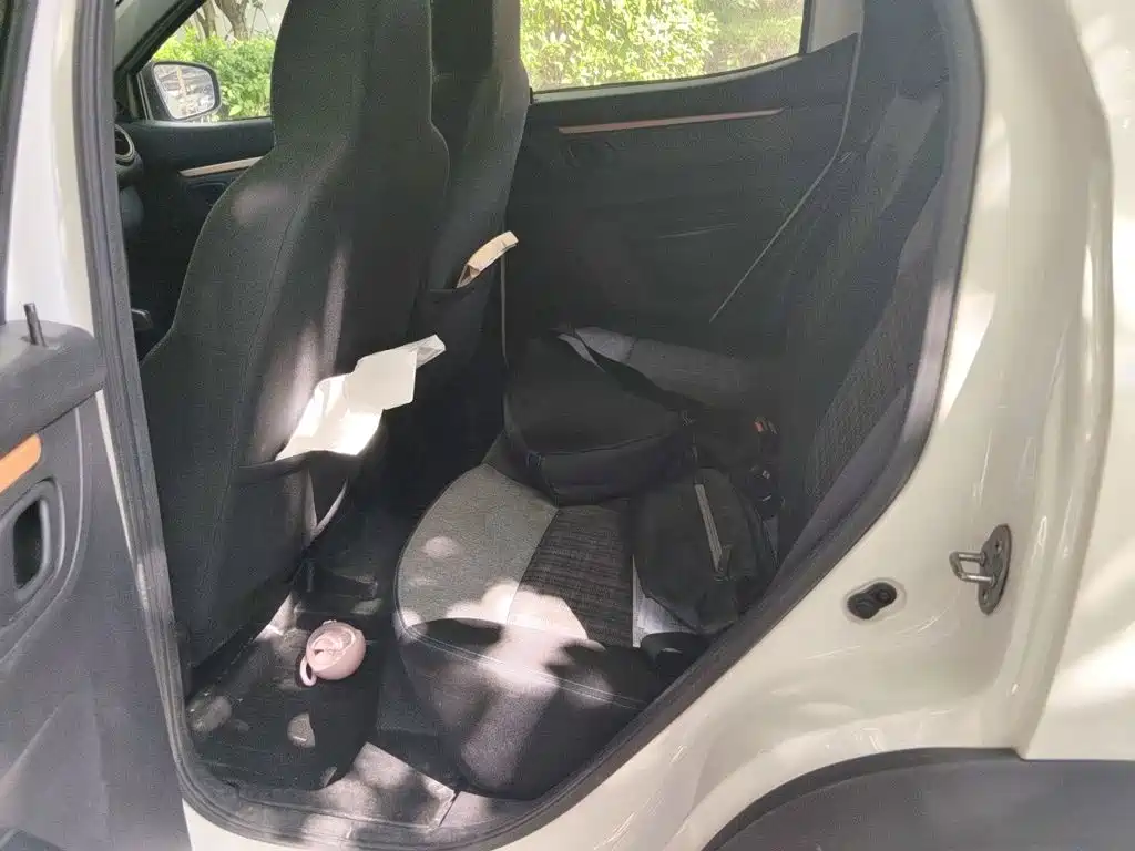 Dongfeng Yipai Dongfeng Nano EX1 2021 2021 Quality Action Edition