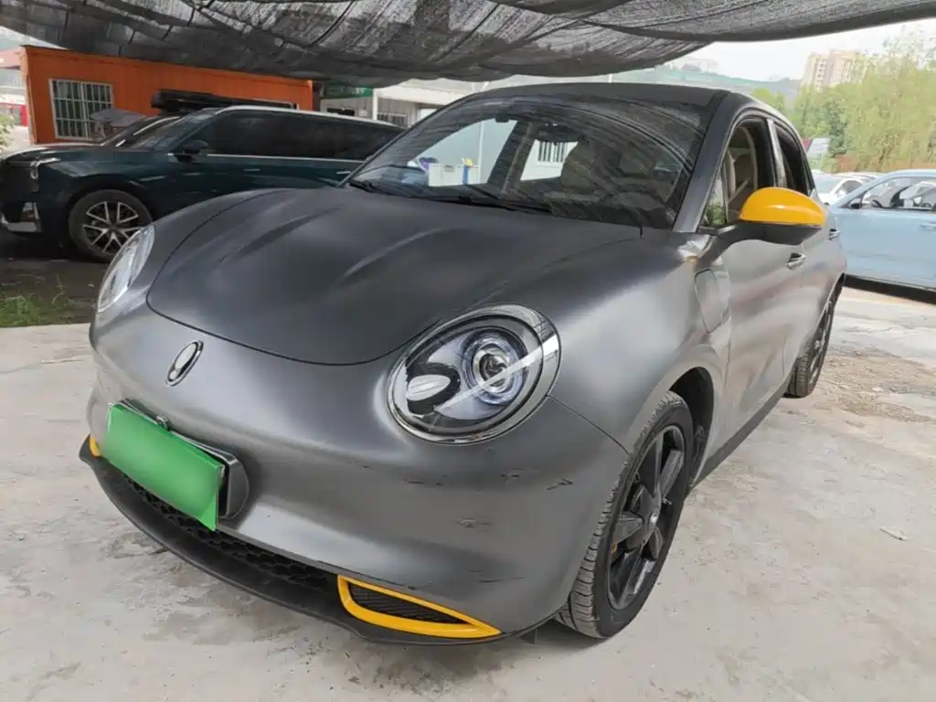 Ora Good Cat 2024 2024 401km Luxury