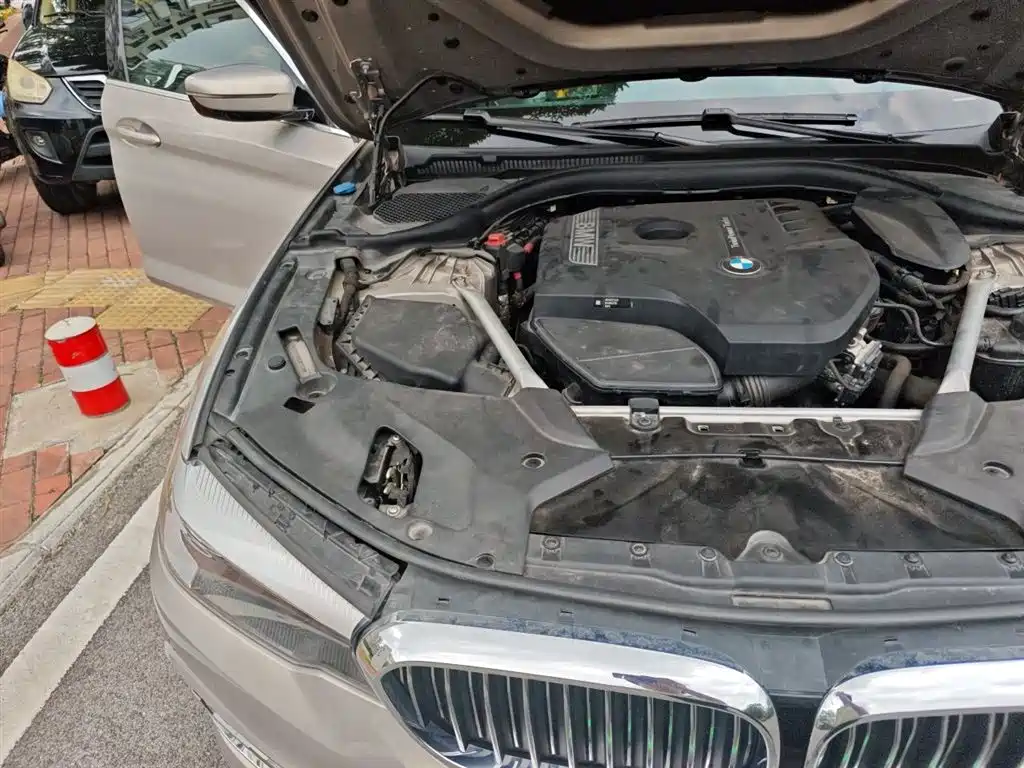 BMW 5 Series 2018 Facelift 530Li Leading Luxury Package фото 23