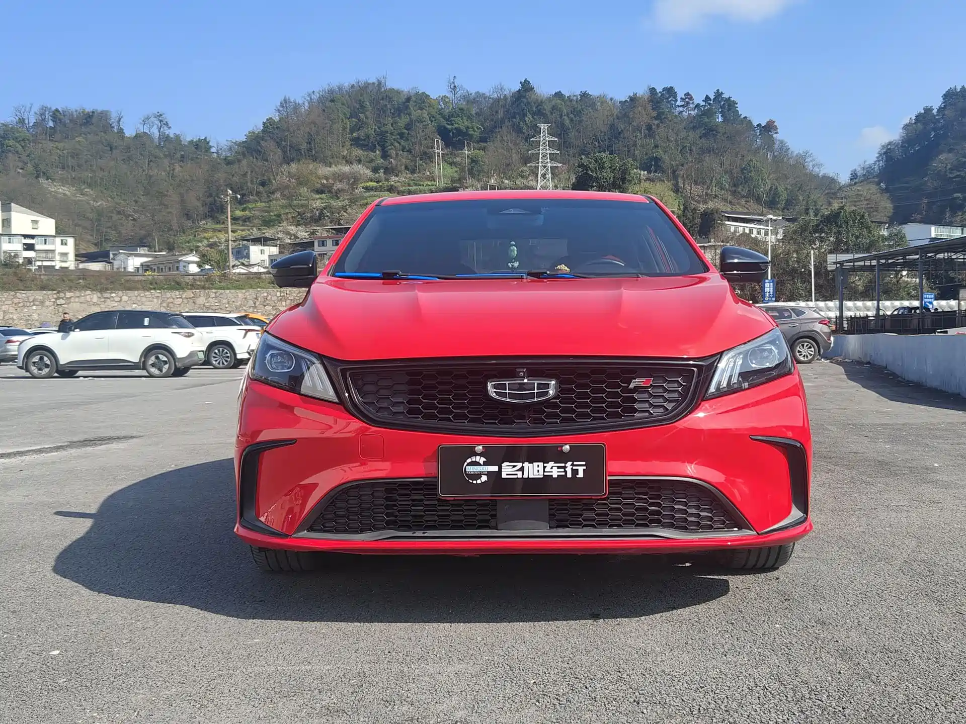 Фото 2 - Geely Binrui
