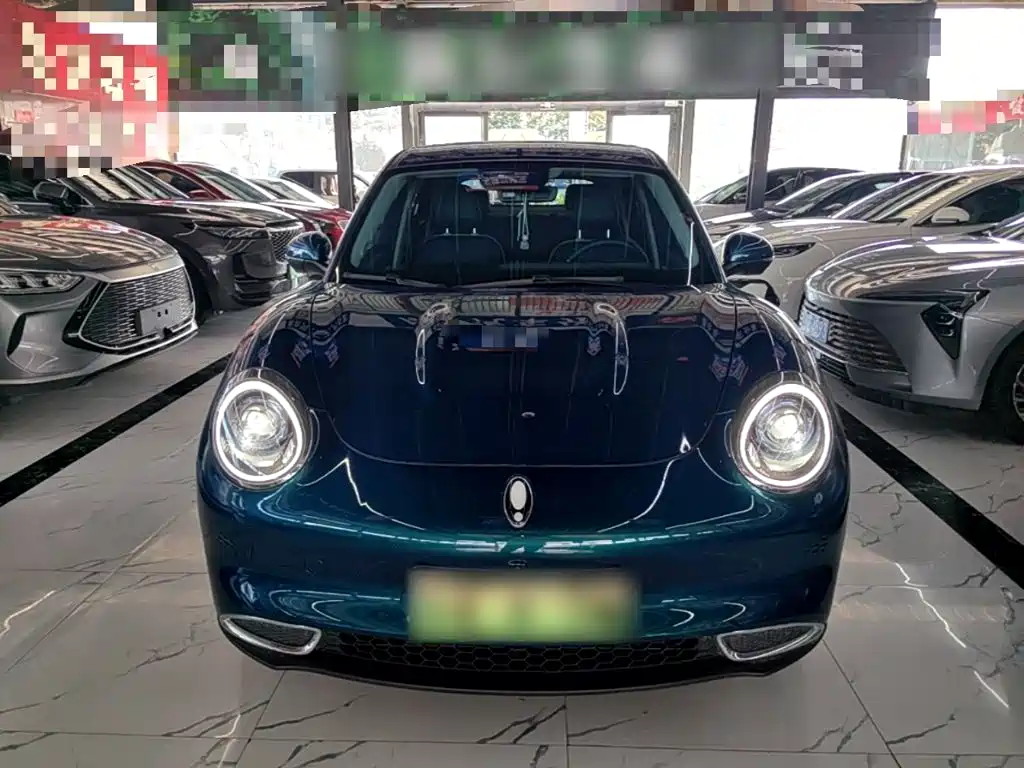 Ora Good Cat 2024 2024 401km Luxury