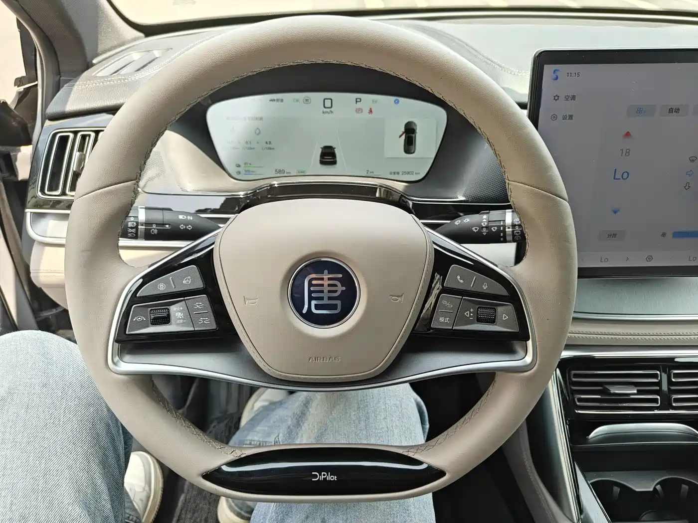 BYD Tang New Energy 2025 DM-i 115KM Premium фото 5