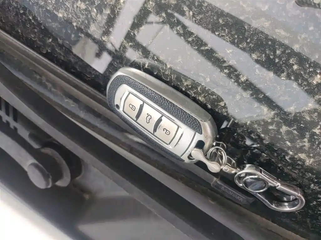 Geely Emgrand New Energy 2021 2021 EV Pro Ride-hailing Edition