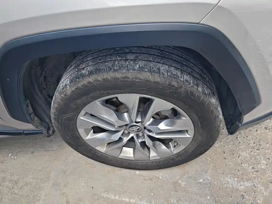Toyota Wildlander 2020 2020 2.0L CVT AWD Luxury Edition