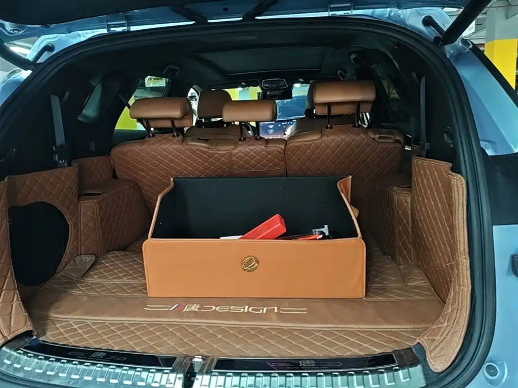 BYD Tang New Energy 2023 Model DM-i Champion Edition 112KM Honor фото 19