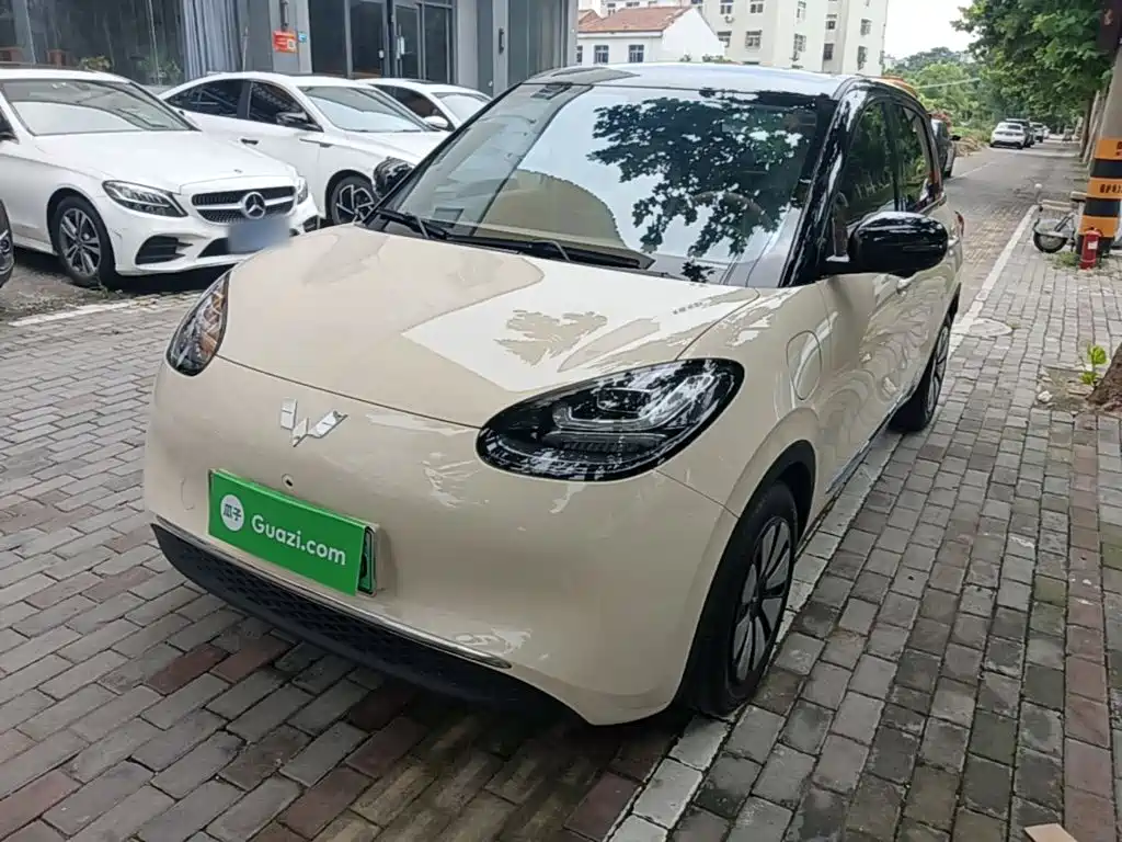 Wuling Motors Wuling Bingo 2025 Model 333km Smart Premium