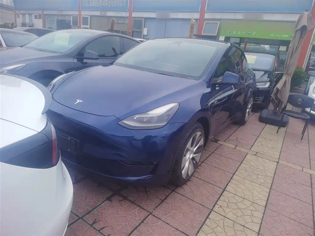 Tesla Model Y 2021 Long Range All-Wheel Drive 3D7