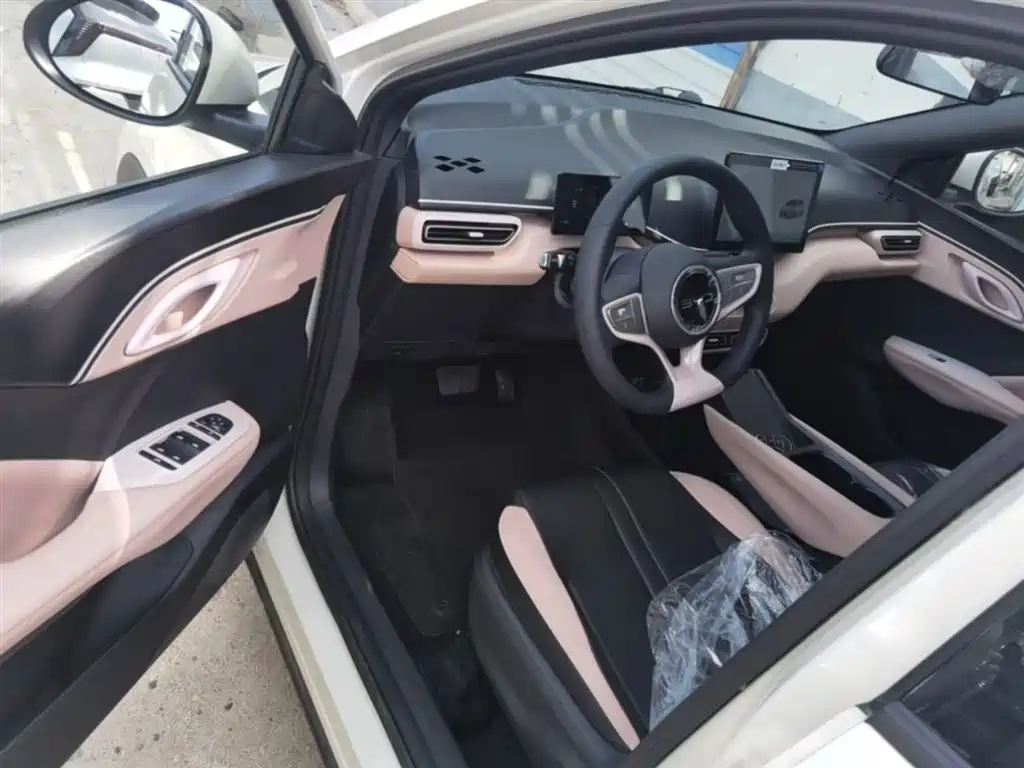BYD Seagull 2025 Smart Drive Edition 305km Vitality Version фото 16