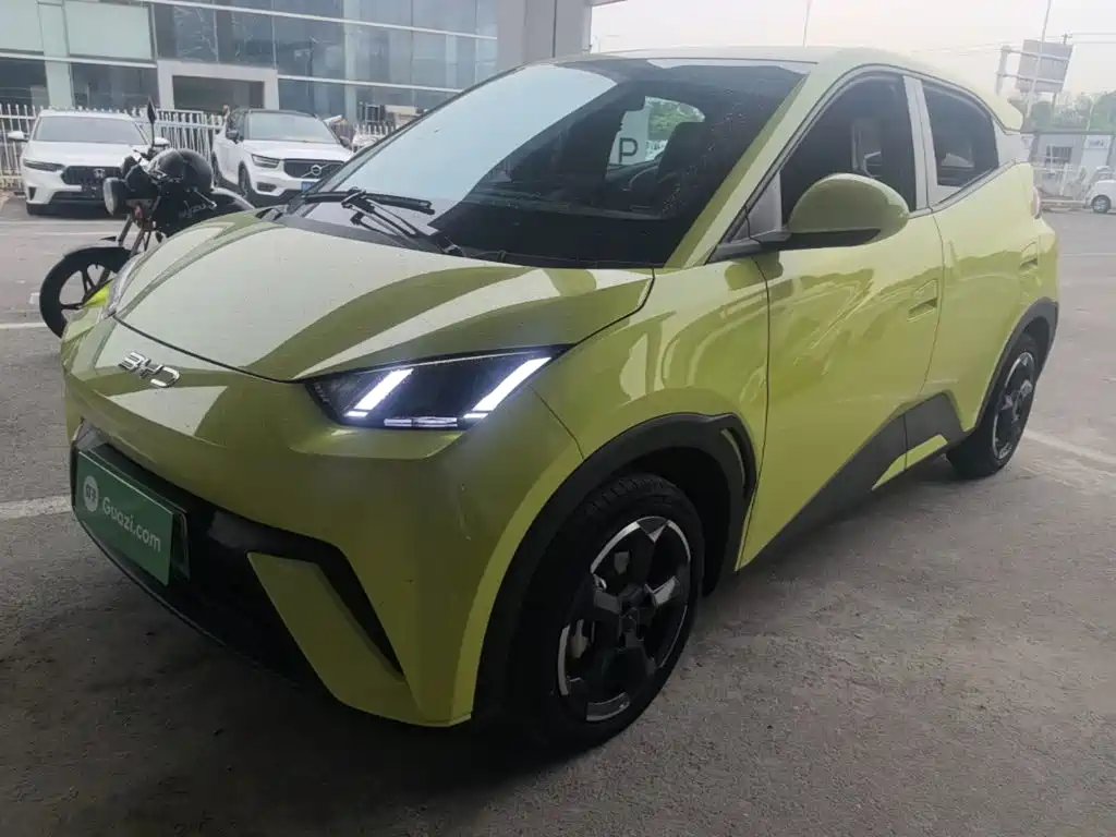 BYD Seagull 2024