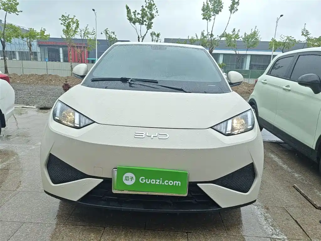 BYD Seagull 2025 Smart Drive Edition 305km Vitality Version фото 3