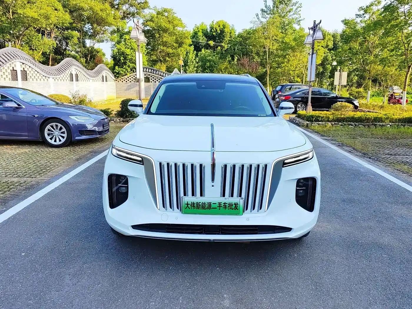 Hongqi E-HS9 2021 460km Flagship Deluxe 7-seater фото 2