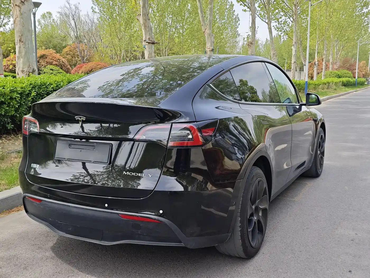 TESLA MODEL Y