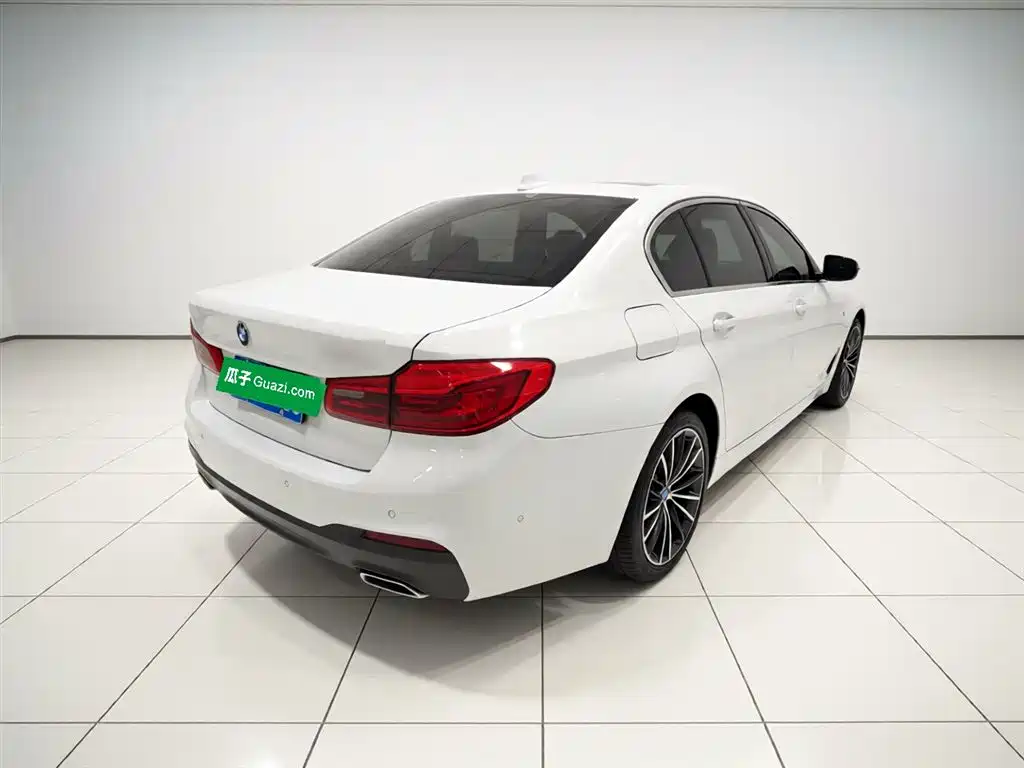 BMW 5 Series 2020 530Li Exclusive M Sport Package фото 7