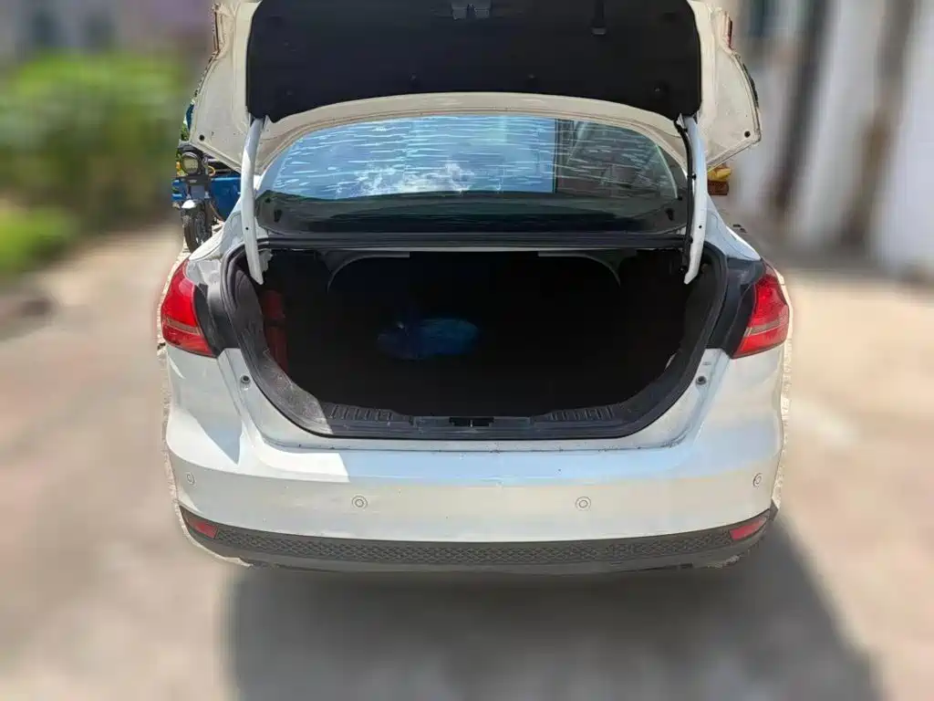 Фото 4 - Ford Focus