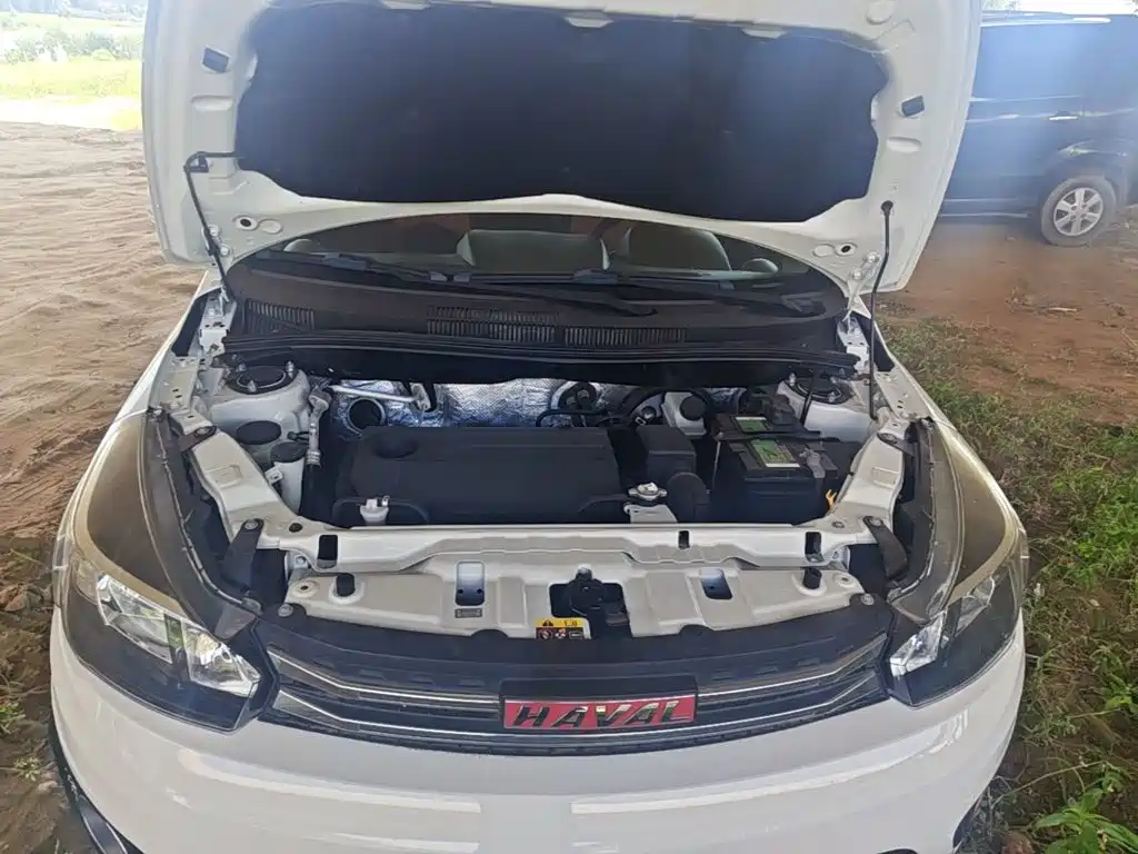 Фото 20 - Haval H1