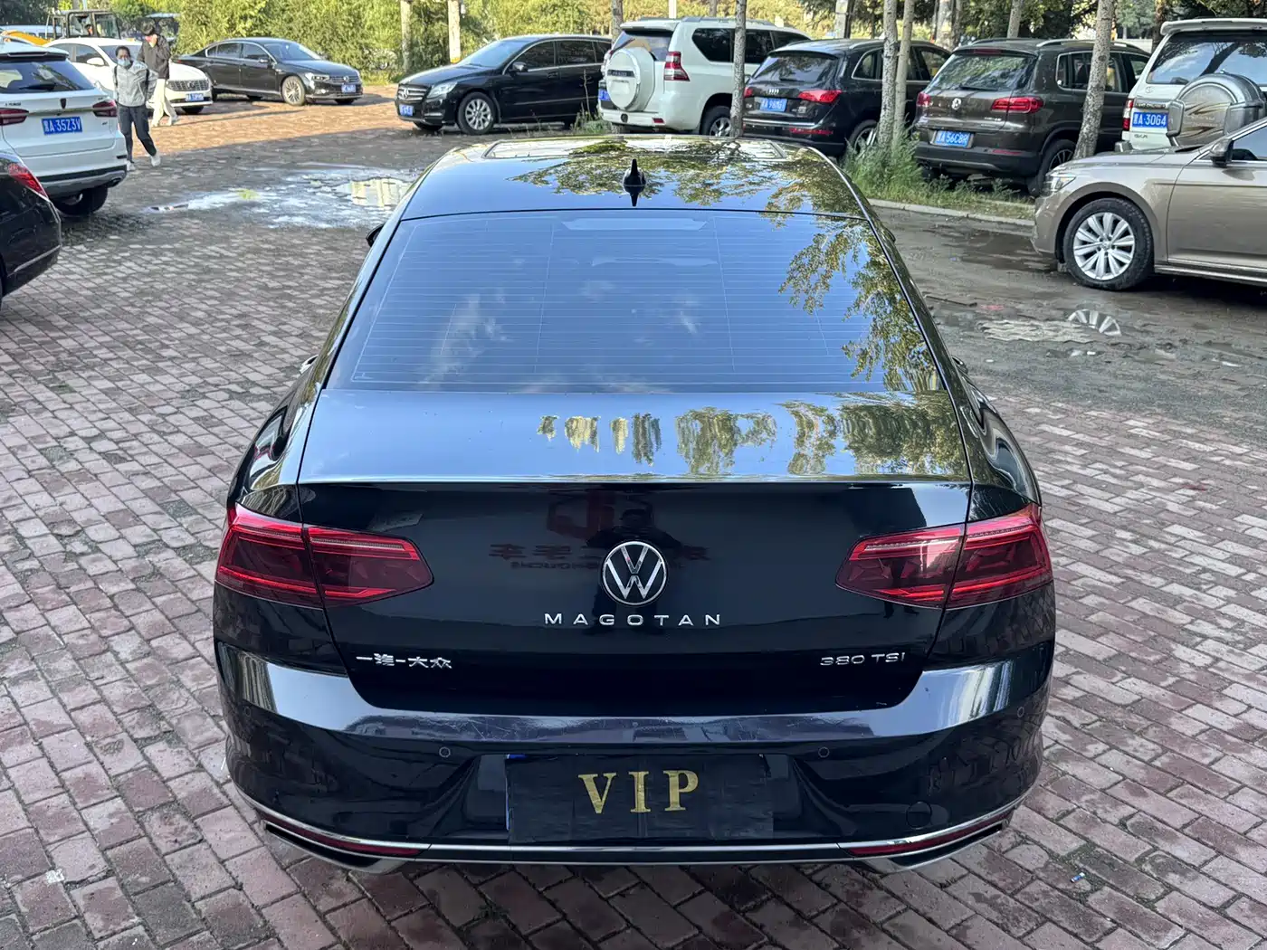 Volkswagen Magotan, миниатюра 4