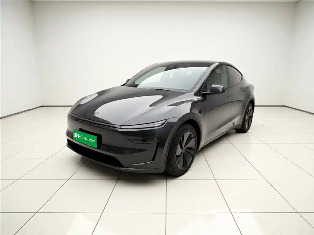 Tesla Model Y 2025 Model Long Range All-Wheel Drive Launch Edition
