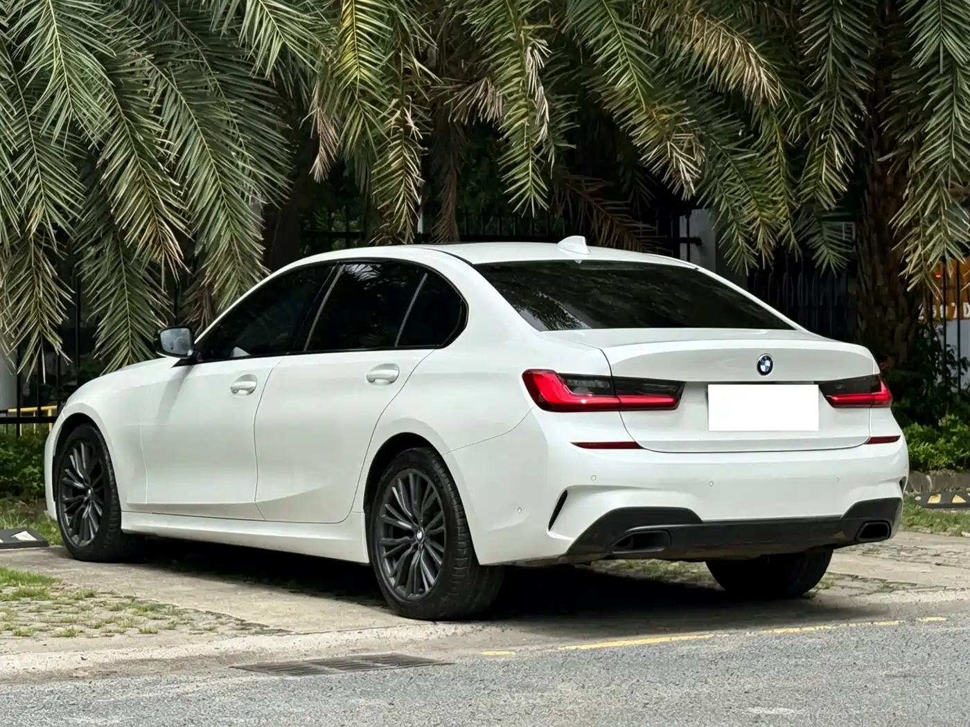 BMW 3 Series 2020 325Li M Sport Black Night Package фото 6