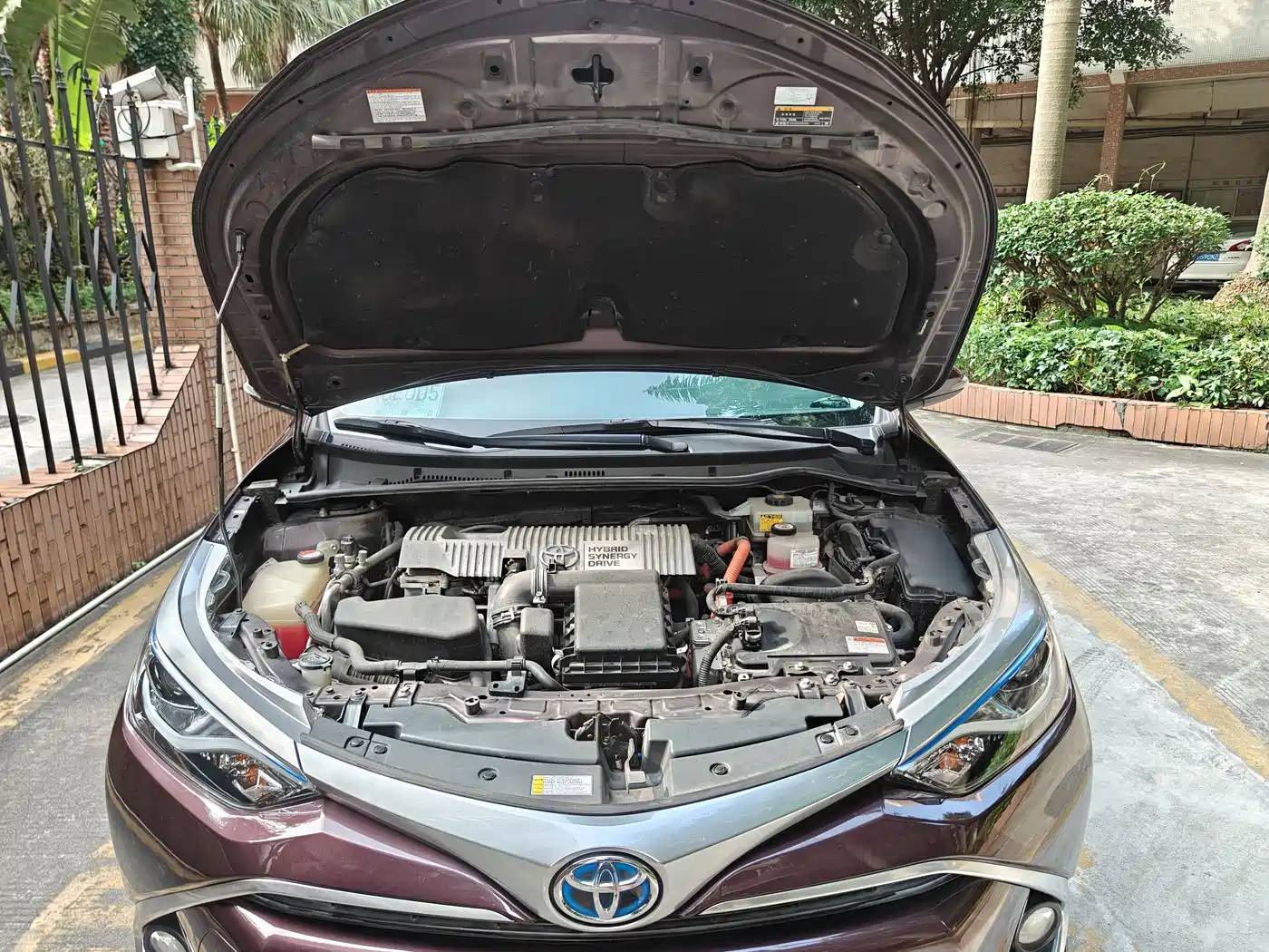 Toyota Levin 2017 Facelift Hybrid 1.8H GS E-CVT Elite Sunroof Edition China V фото 33