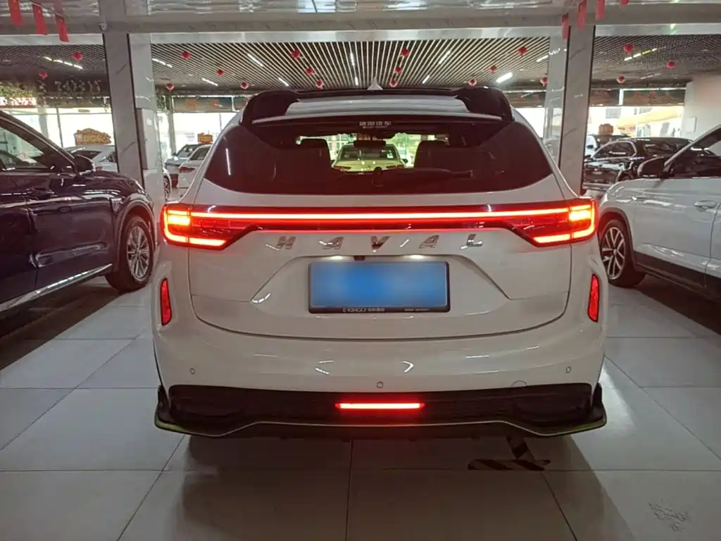 Haval Chitu 2022 2022 Power Edition 1.5T Purple Copper Rabbit