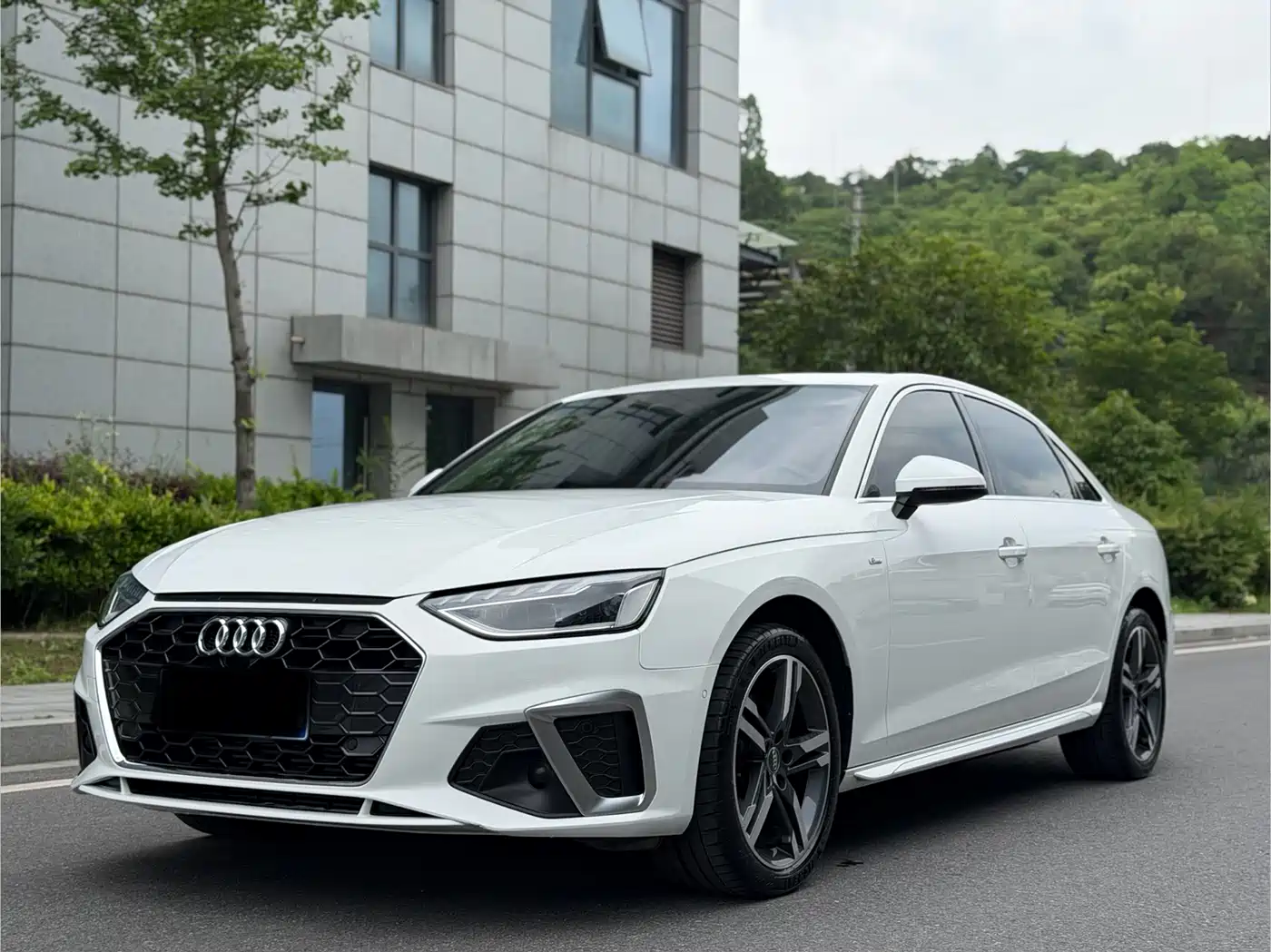 Audi A4L 2020 40 TFSI Luxury Dynamic