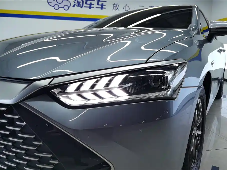 BYD Qin PLUS 2023 Champion Edition DM-i 55KM Leading фото 5