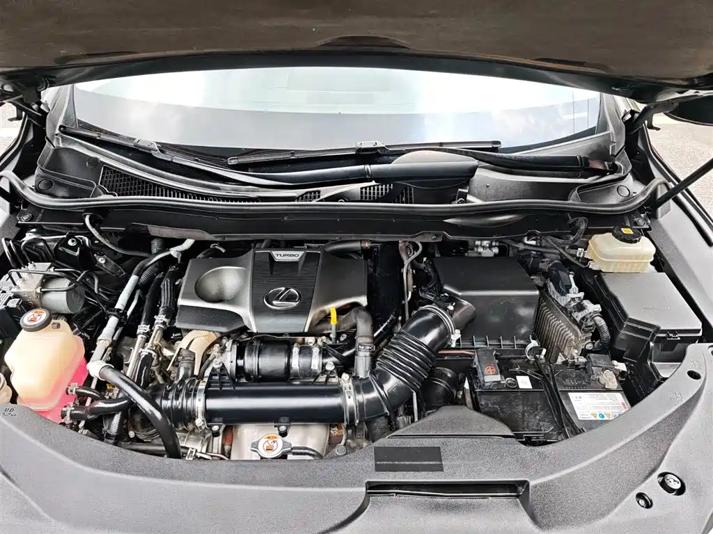 Lexus RX 2016 300 4WD Elegance Edition (China V) фото 31