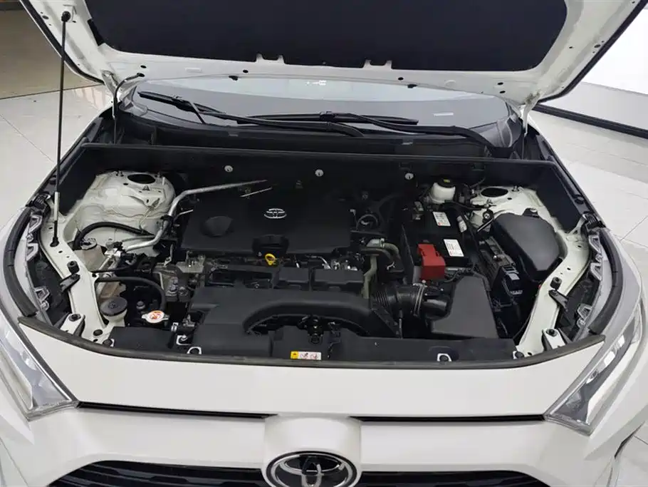 Toyota RAV4 Rongfang 2020 2.0L CVT 2WD Trend Edition фото 10