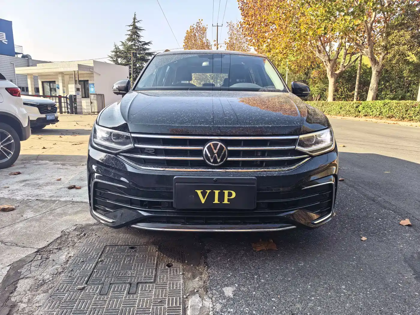 Volkswagen Tiguan L 2024 Outstanding 330TSI Auto 2WD Dragon Soaring Edition