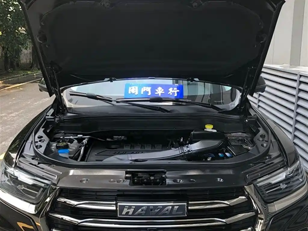 Haval H6 2021 Model National Trend Edition 1.5T Auto Champion фото 4