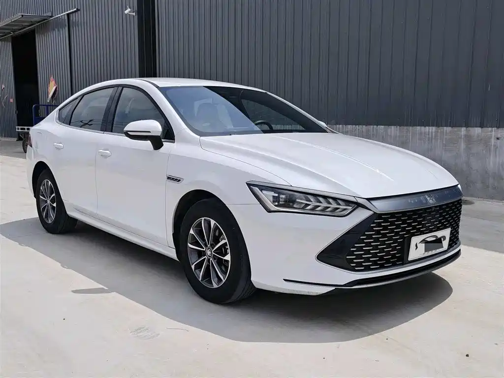 BYD Qin PLUS 2024 Glory Edition DM-i 55KM Leading фото 3
