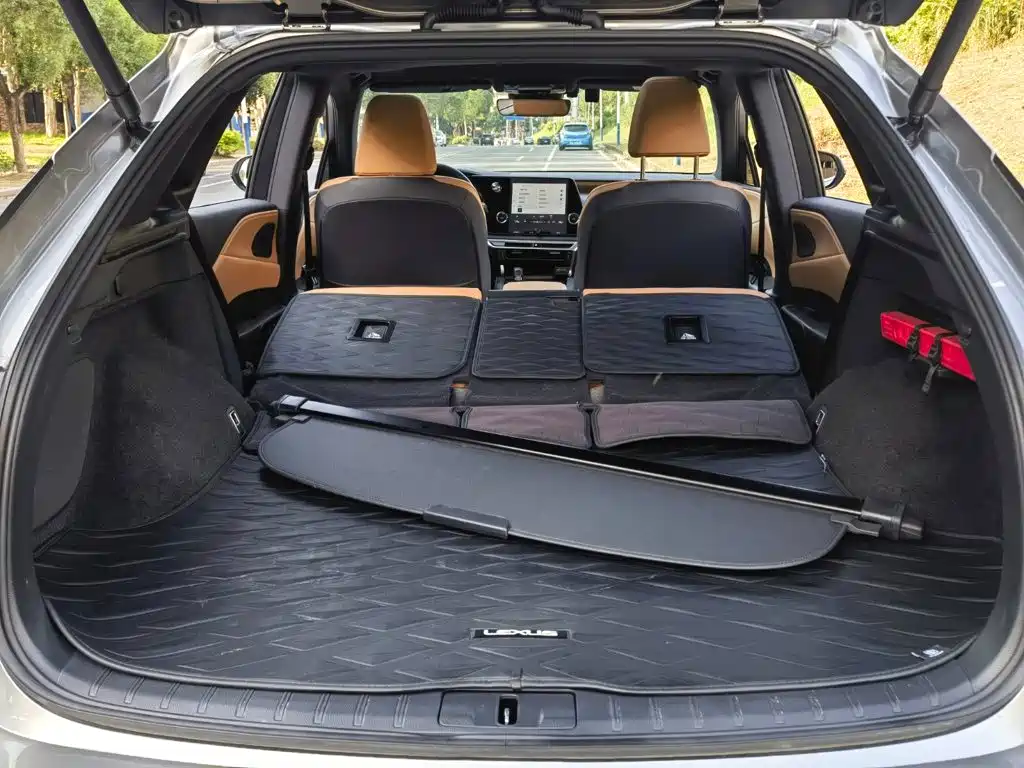 Фото 11 - Lexus RX