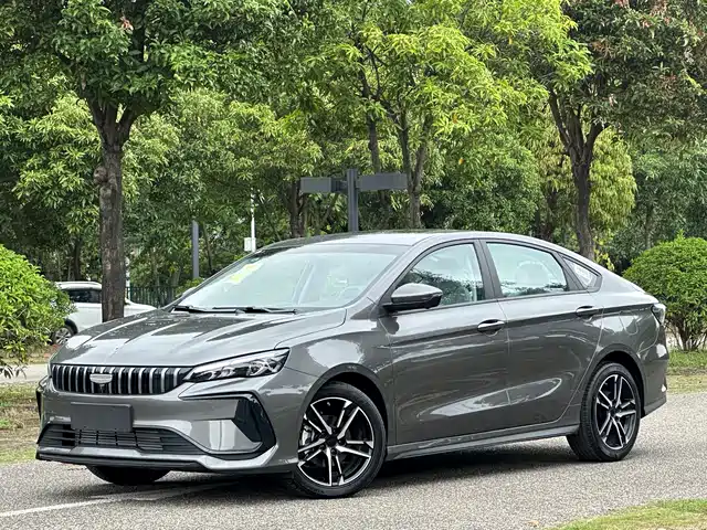 GEELY AUTOMOBILE BINRUI