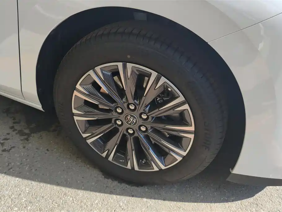 Buick GL8 2025 Land Honor Premium Edition фото 6