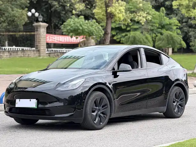 Tesla Model Y 2024 Rear-Wheel Drive Version