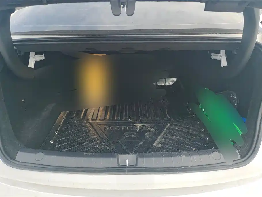 BYD Destroyer 05 2024 Glory Edition DM-i 55KM Luxury фото 4