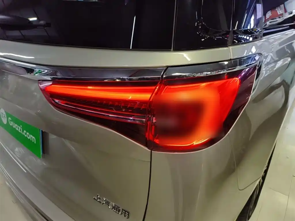 Buick GL8 2022 ES Landmark 653T Luxury фото 8