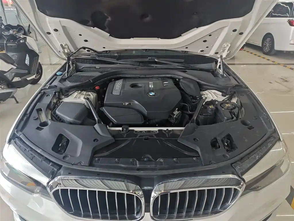 BMW 5 Series 2018 528Li Launch Special Edition фото 16